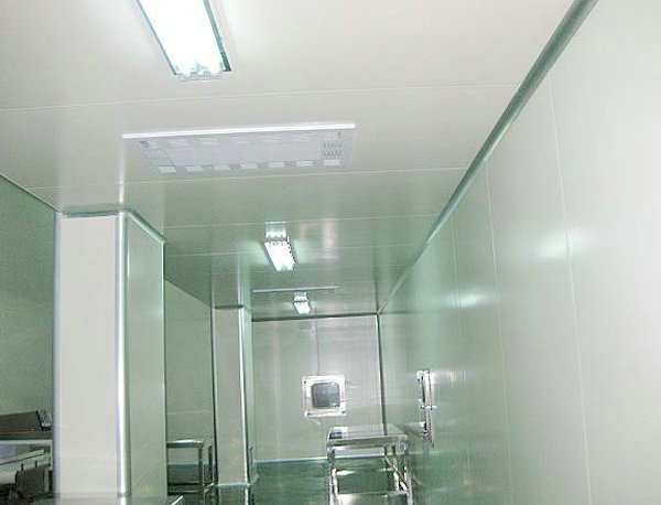 金山食品凈化車間物流通道圖片